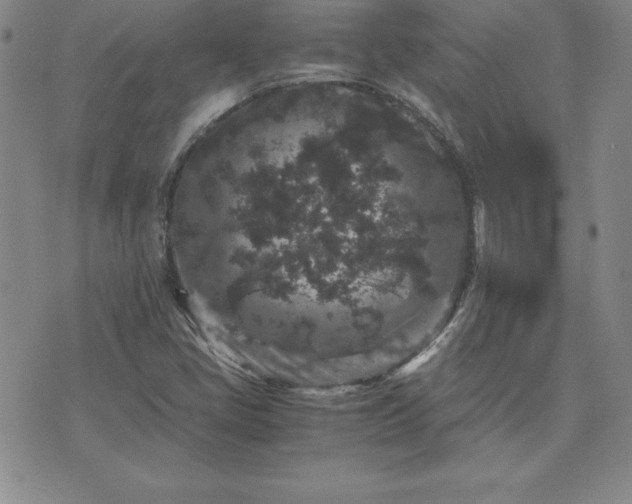 X0000075841405200609221653