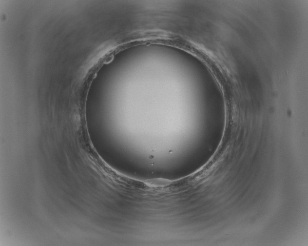 X0000075841407200609221653