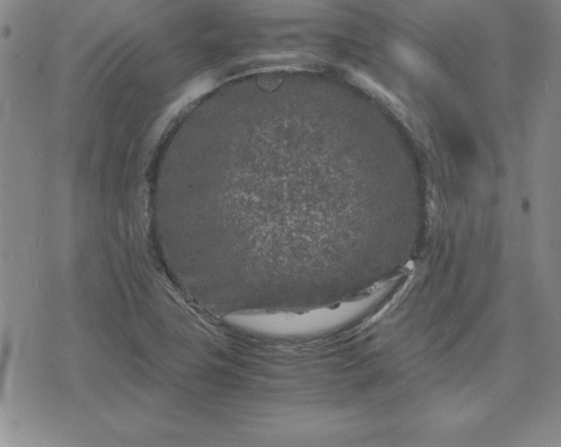 X0000075841411200609221653