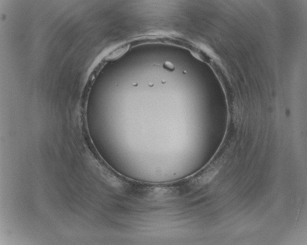 X0000075841412200609221653