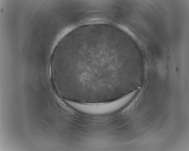 X0000075841413200609221653