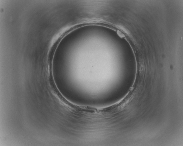 X0000075841414200609221653