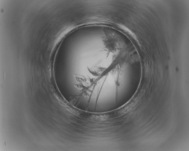 X0000075841415200609221653