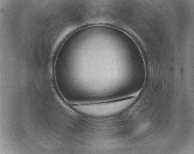 X0000075841416200609221653