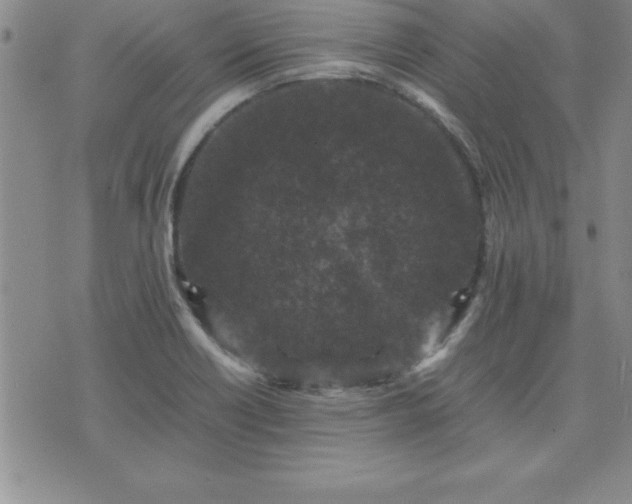 X0000075841418200609221653