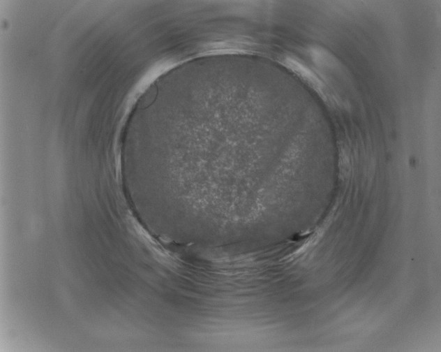 X0000075841419200609221653