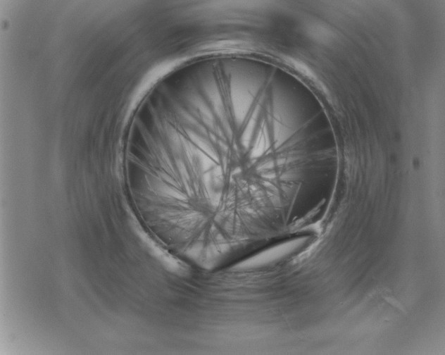 X0000075841421200609221653