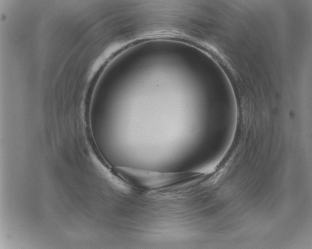 X0000075841422200609221653