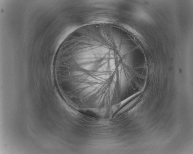 X0000075841423200609221653