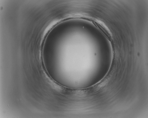 X0000075841424200609221654