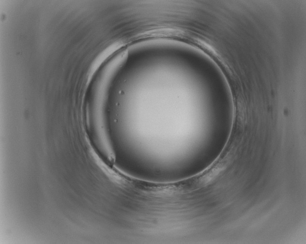 X0000075841426200609221654