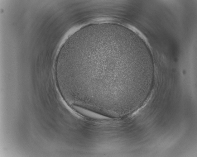 X0000075841429200609221654