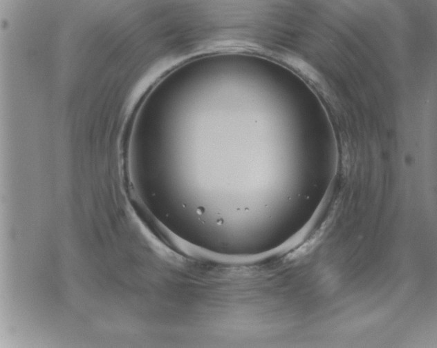 X0000075841430200609221654