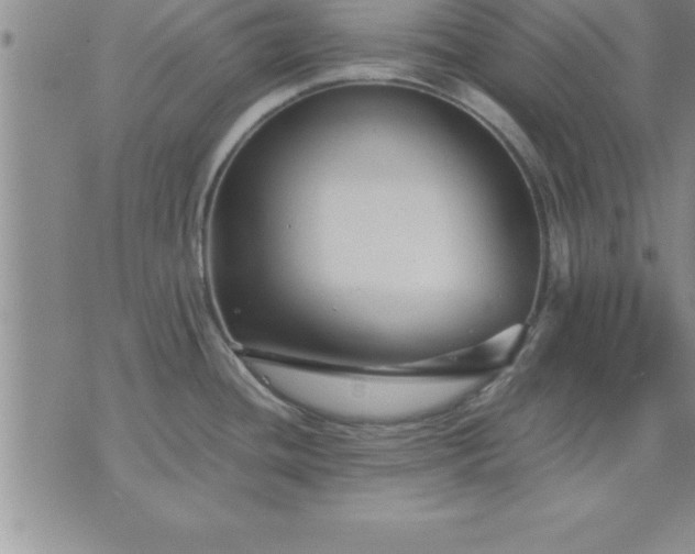 X0000075841436200609221654