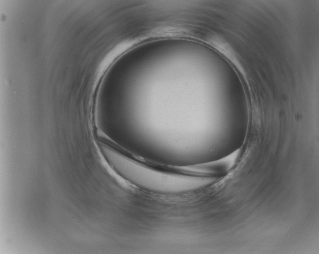 X0000075841437200609221654