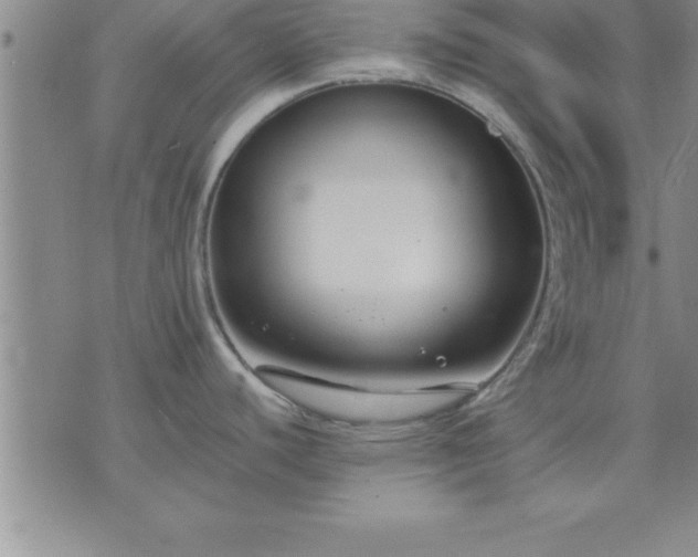 X0000075841440200609221654