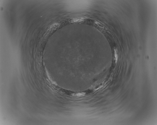 X0000075841441200609221653