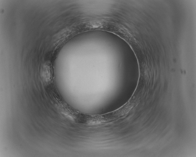 X0000075841442200609221653