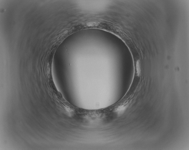 X0000075841443200609221653