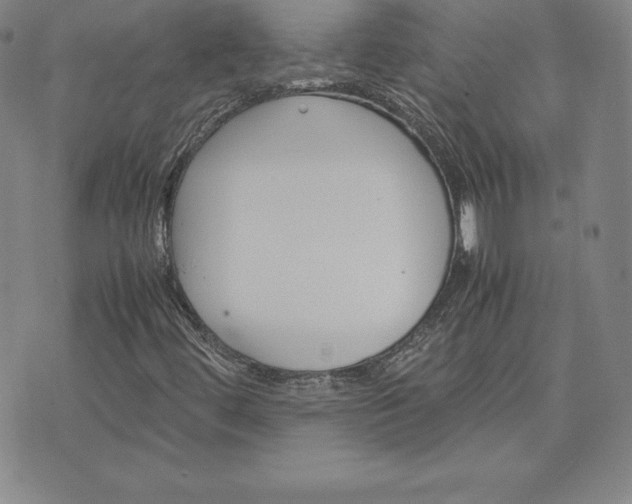 X0000075841444200609221653