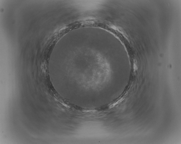 X0000075841445200609221653