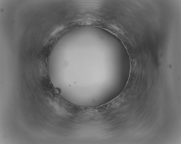 X0000075841446200609221653