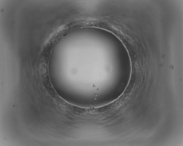 X0000075841447200609221653