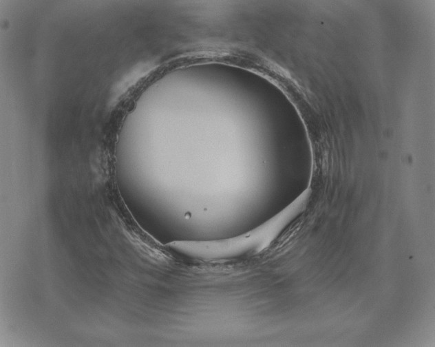 X0000075841448200609221653