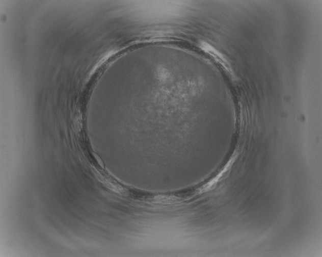 X0000075841449200609221653