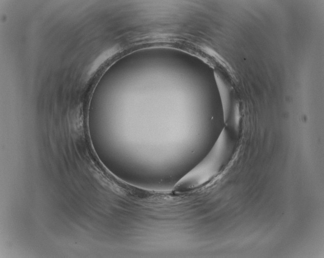 X0000075841450200609221653