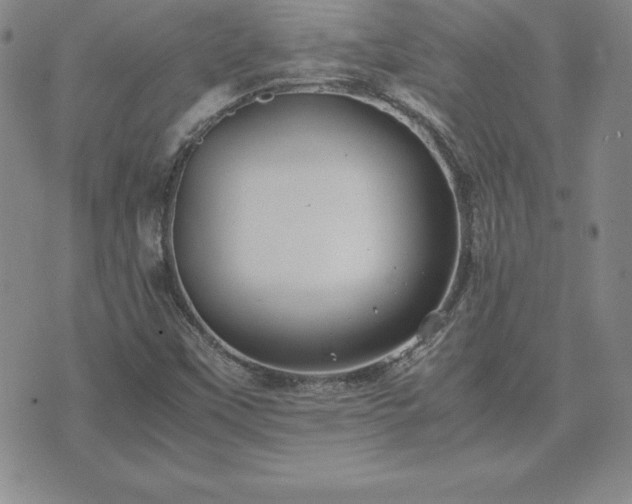 X0000075841451200609221653