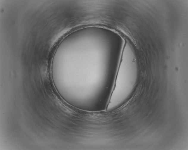 X0000075841452200609221653