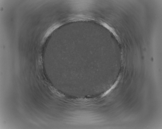 X0000075841453200609221653