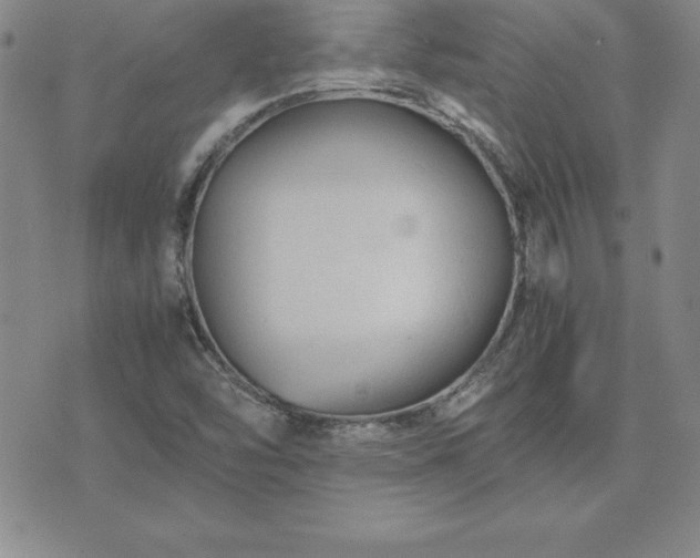 X0000075841454200609221653