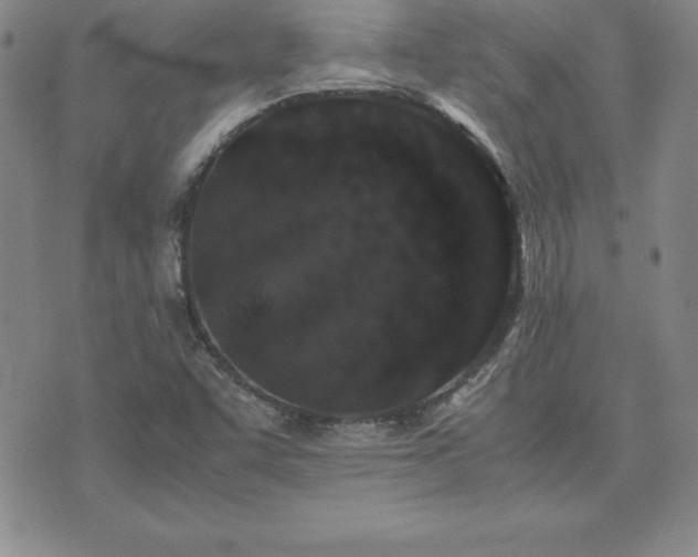 X0000075841455200609221653