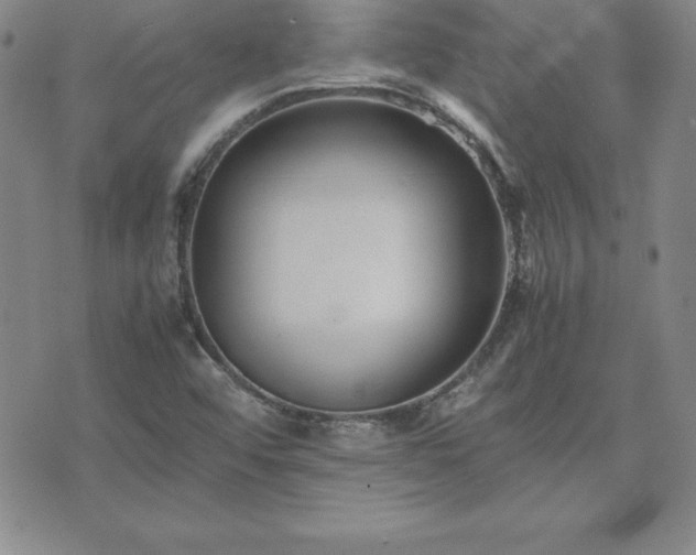 X0000075841456200609221653