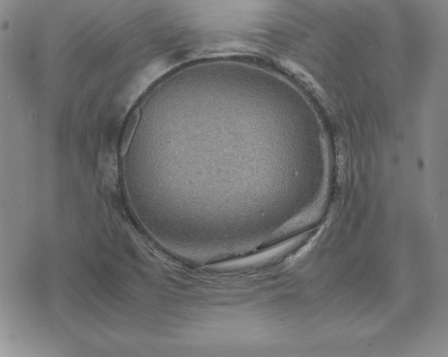 X0000075841457200609221653