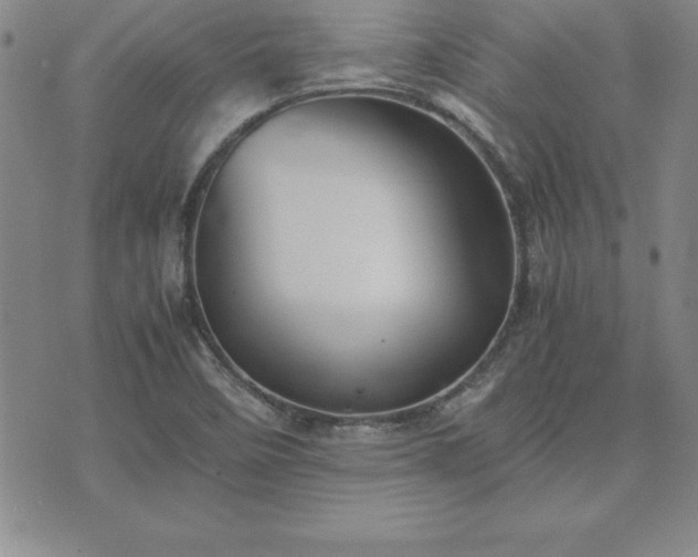 X0000075841458200609221653