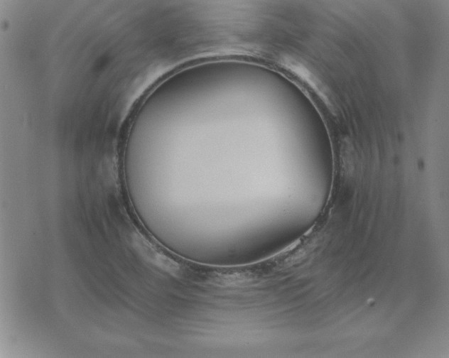 X0000075841460200609221653