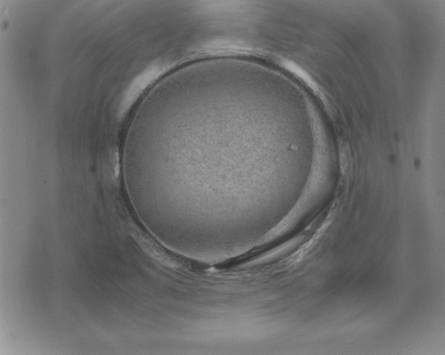 X0000075841461200609221653