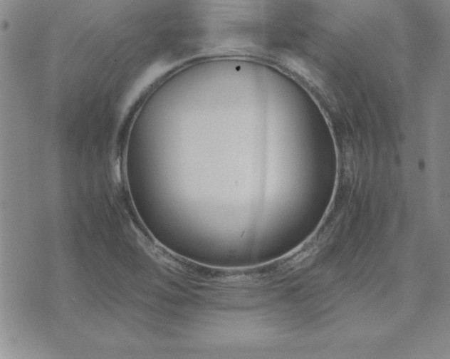 X0000075841462200609221653