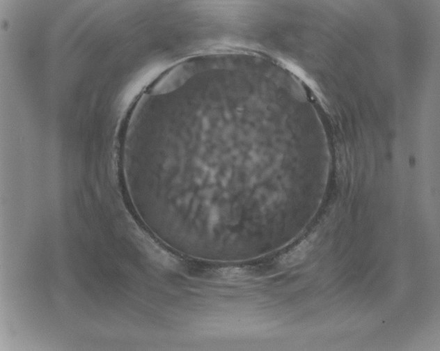 X0000075841463200609221653