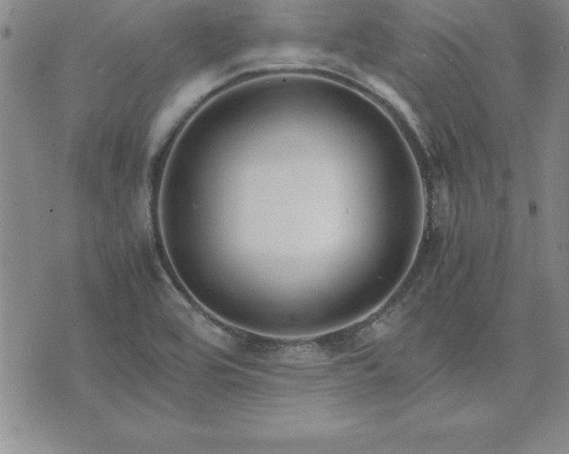 X0000075841464200609221653