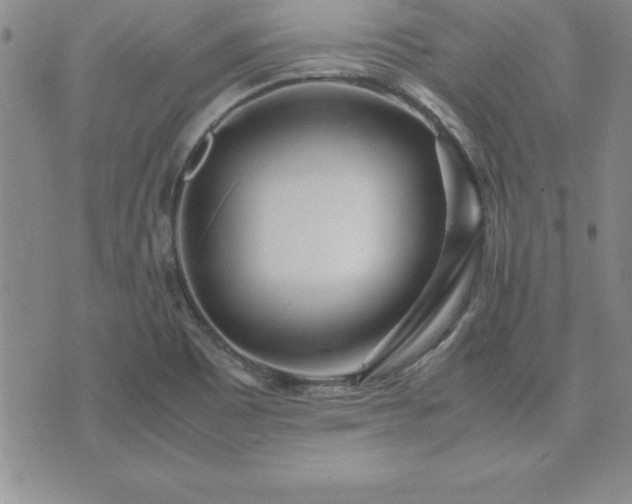 X0000075841465200609221653