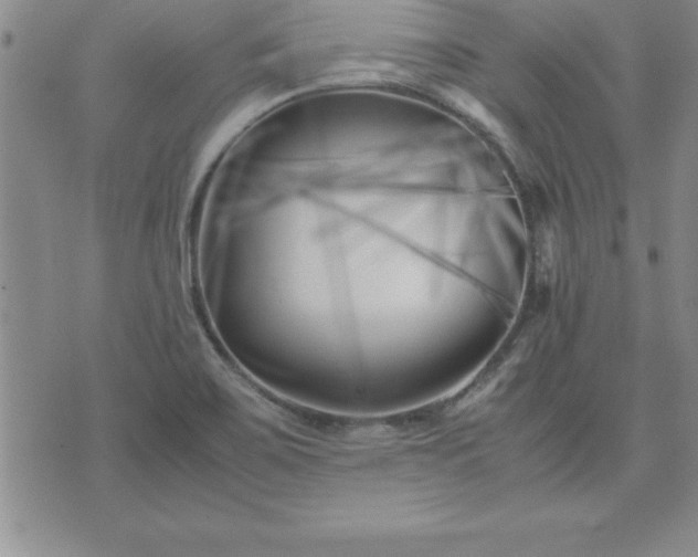 X0000075841467200609221653