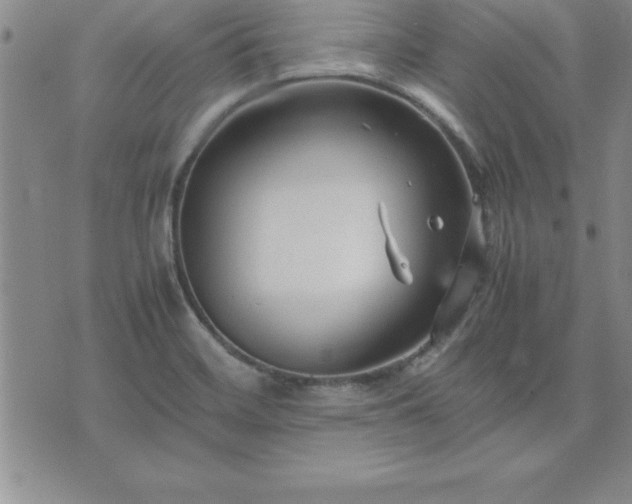 X0000075841468200609221653