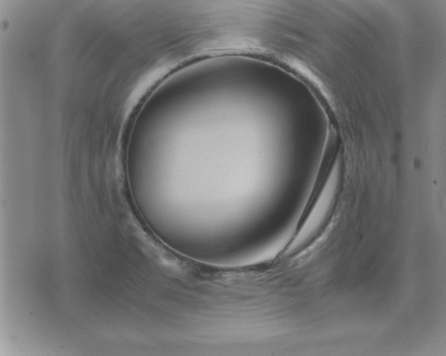 X0000075841469200609221653