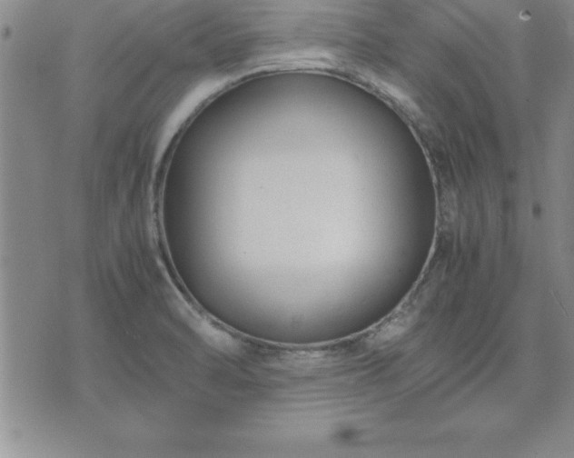 X0000075841470200609221653