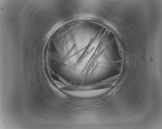 X0000075841471200609221652