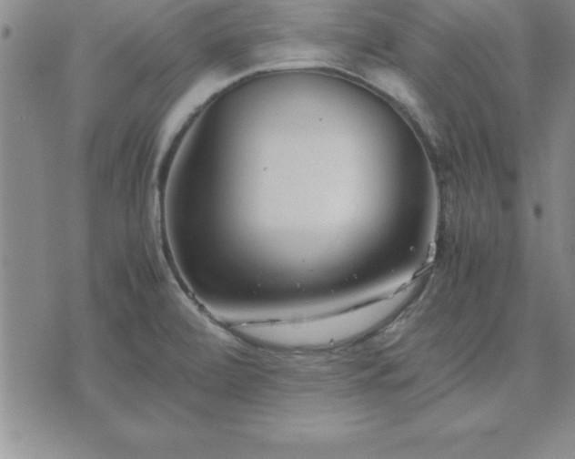 X0000075841472200609221652